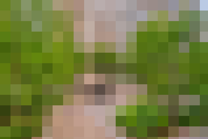  / #20