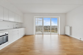 hus i København S