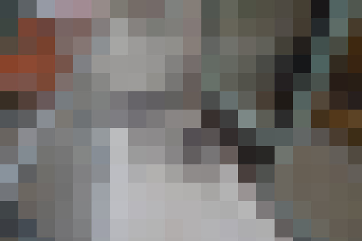  / #19