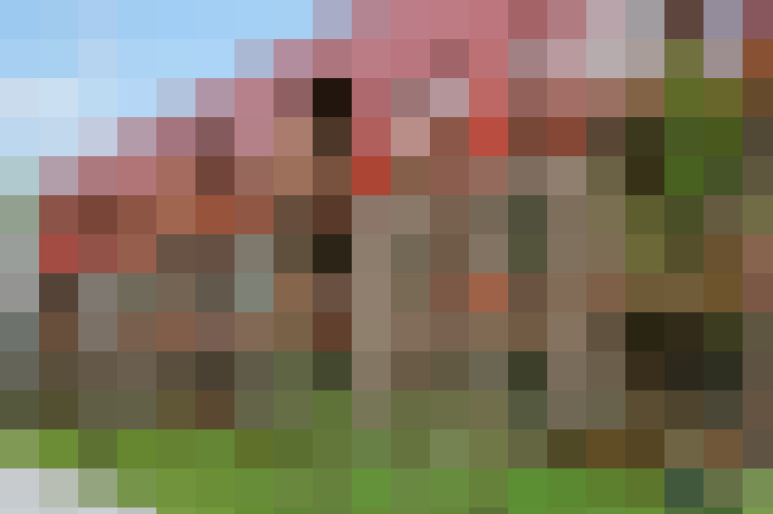  / #11
