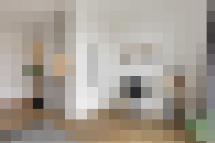  / #8