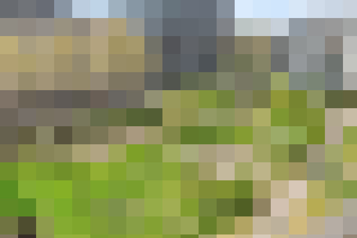  / #18