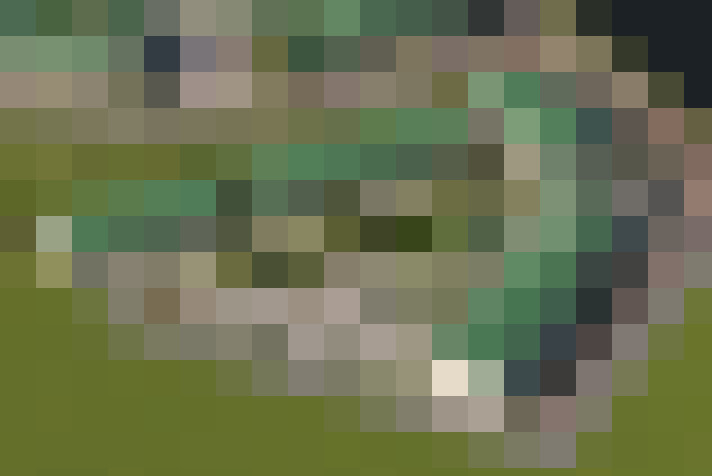  / #15