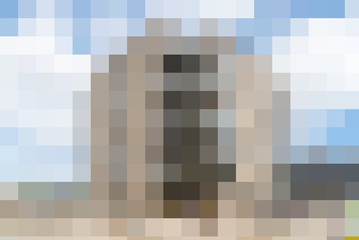  / #11