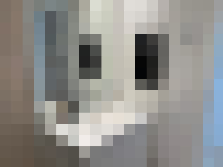  / #8