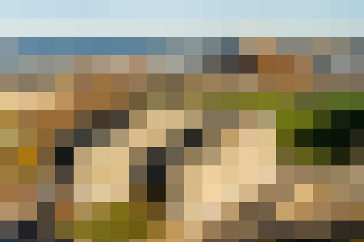  / #15