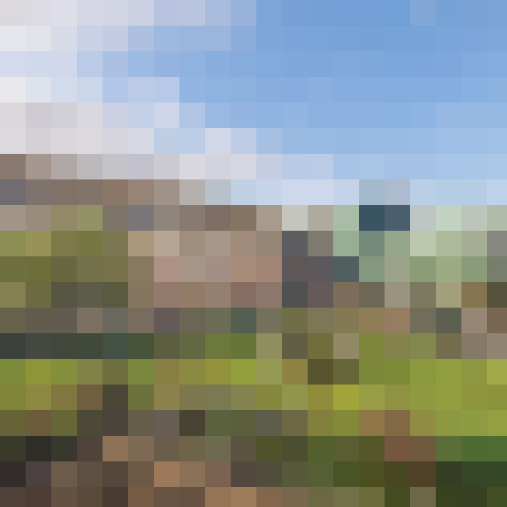  / #8