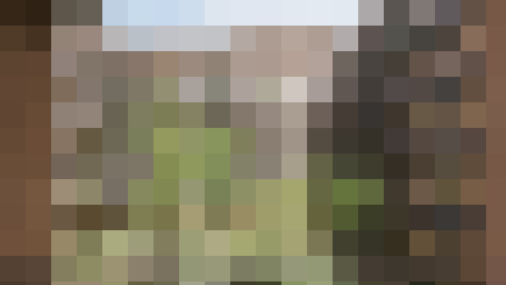  / #11