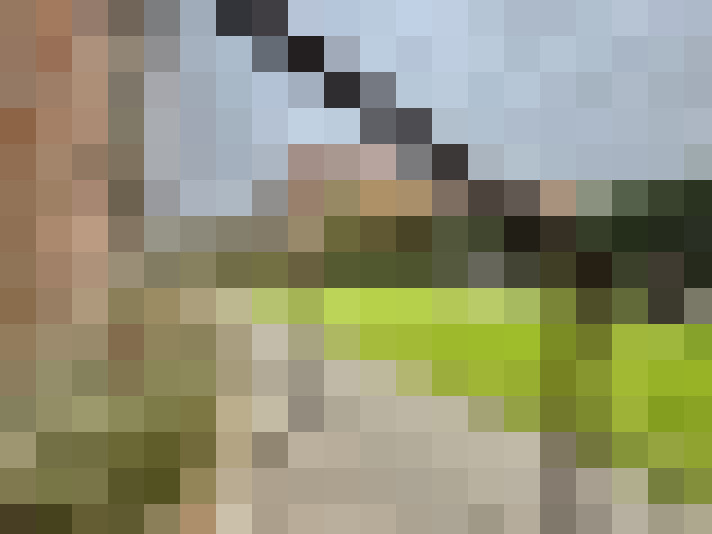  / #11