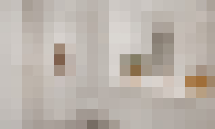  / #11