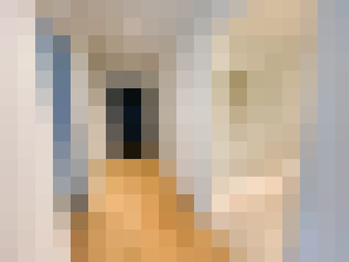  / #16