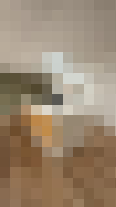  / #16