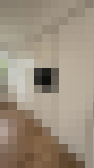  / #18