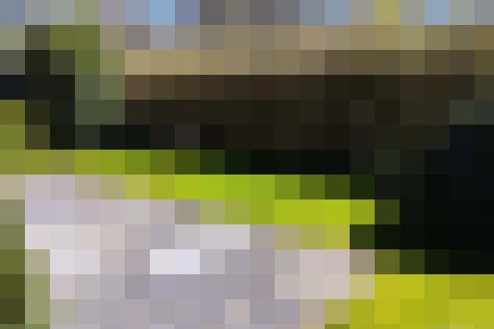  / #16