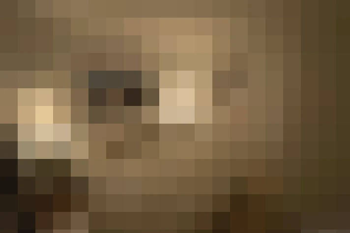  / #17