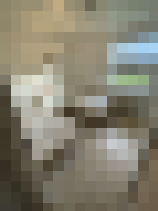  / #20