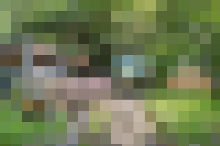  / #13