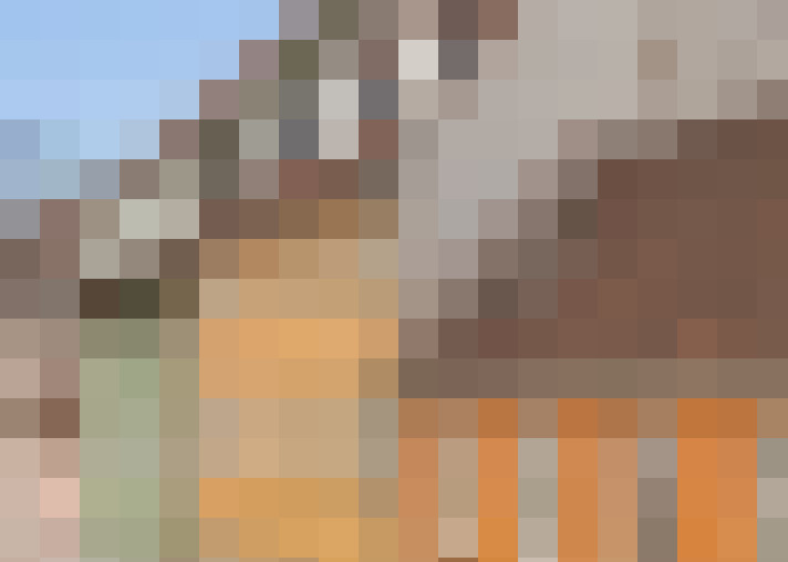  / #15