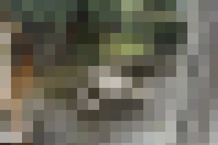  / #18