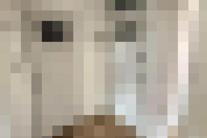  / #17