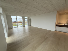 hus i Viborg