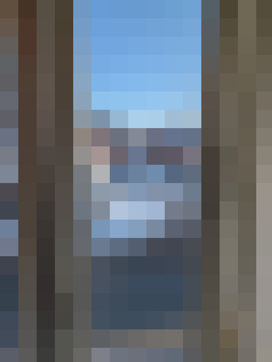  / #15