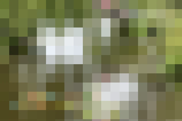  / #15