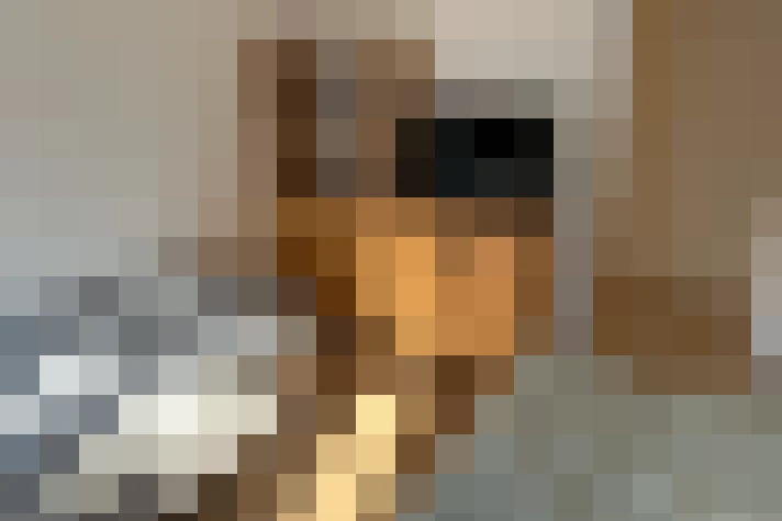  / #14