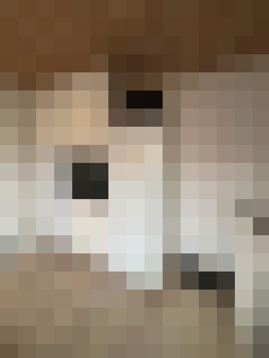  / #12