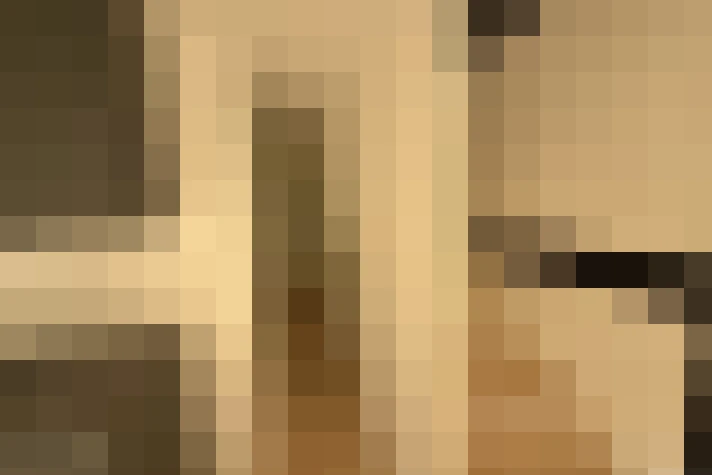  / #15