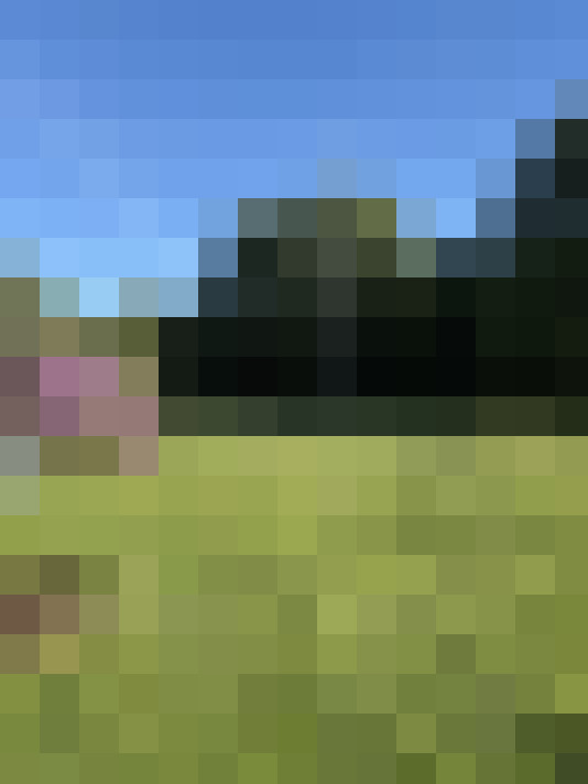  / #16