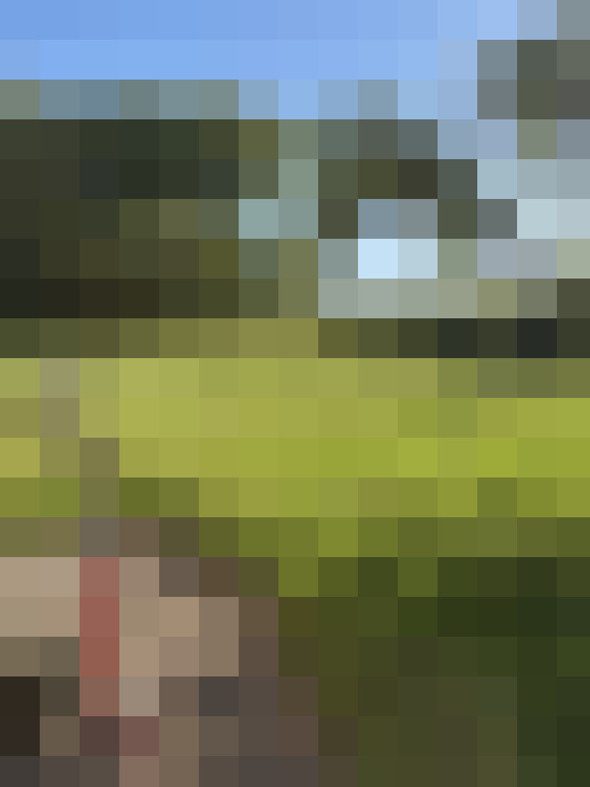  / #15