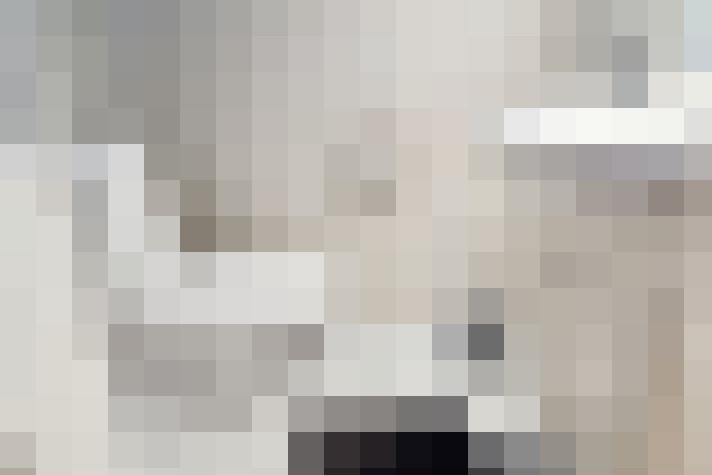  / #15