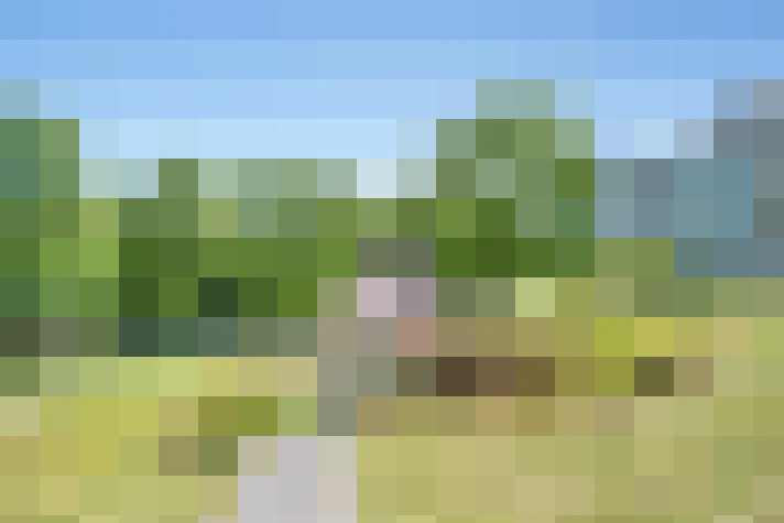  / #16