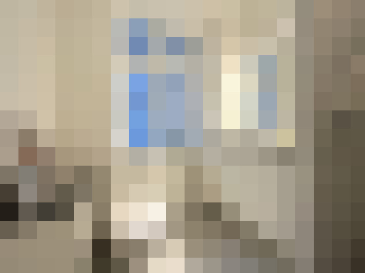  / #11