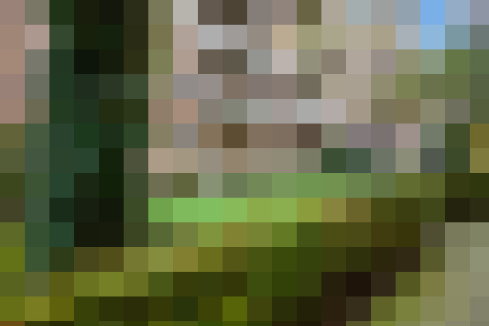  / #15