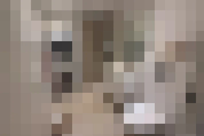  / #19