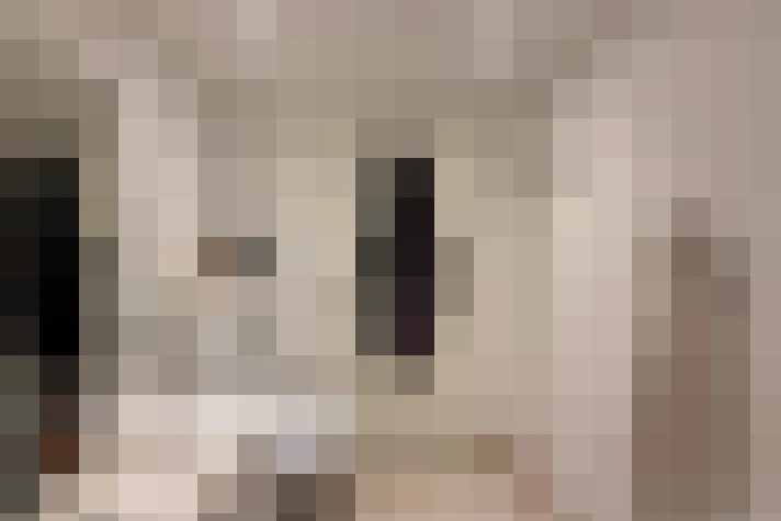  / #20