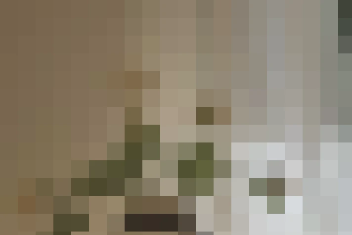 / #12