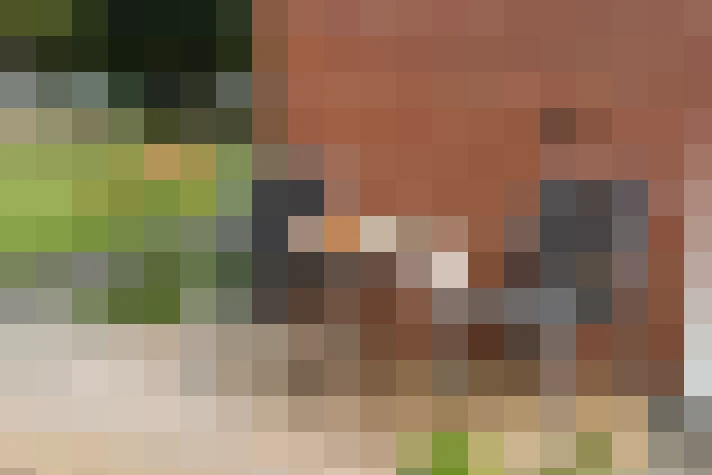  / #9
