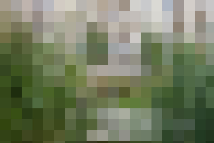  / #16