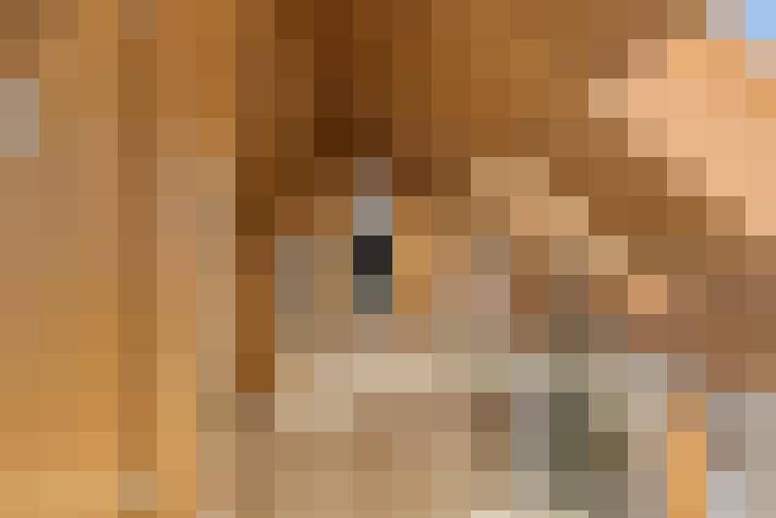  / #18