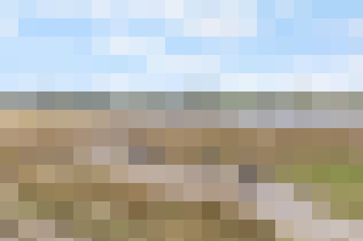  / #14