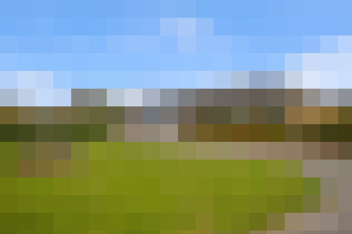  / #8