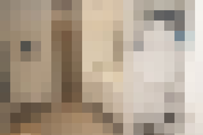  / #12