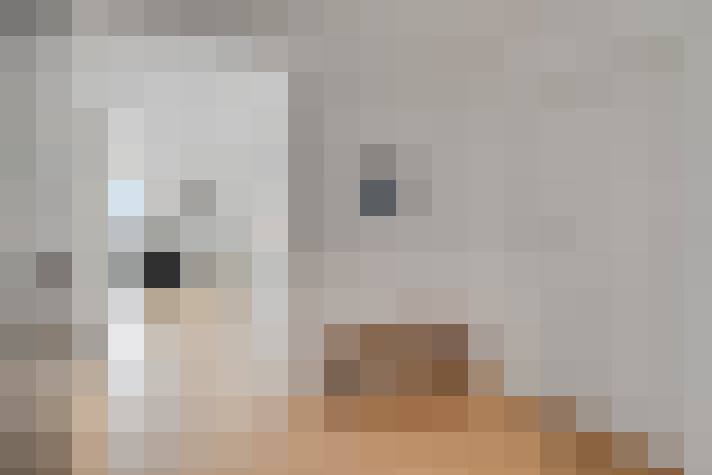  / #9