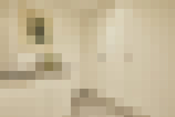  / #30