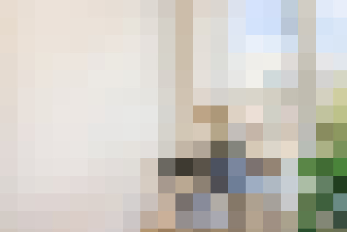  / #17