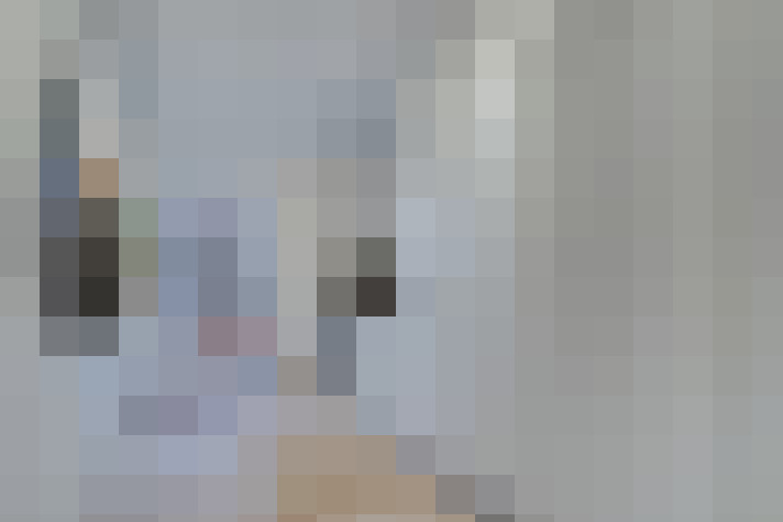  / #20
