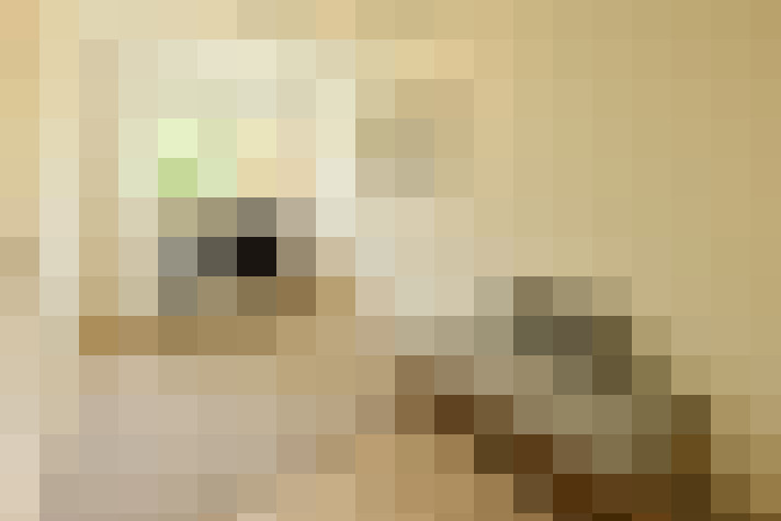  / #12